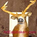 Marietta Buck Photo 5