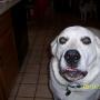 Scott Applegate Photo 21