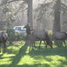 Shirley Cannon Photo 16