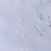 Marten Stone Photo 7