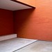 Miguel Colon Photo 18