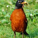 Robin Stanley Photo 11