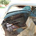 Betty Dodge Photo 16