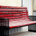 David Cordell Photo 24