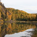 Glenn Sutton Photo 32