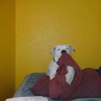 James Laster Photo 33