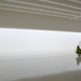 Irwin Friedman Photo 10