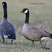 Jeff Franke Photo 18
