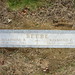 Mary Beebe Photo 14