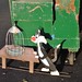 Gayle Sylvester Photo 8