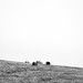 Phillip Hays Photo 13