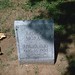 George Moran Photo 39