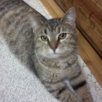 Gail Weeks Photo 18
