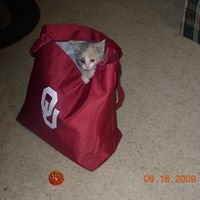 Gail Ayers Photo 24