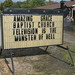 Paula Burns Photo 3