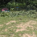 Lonnie Burns Photo 13
