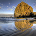 Sandy Cannon Photo 9