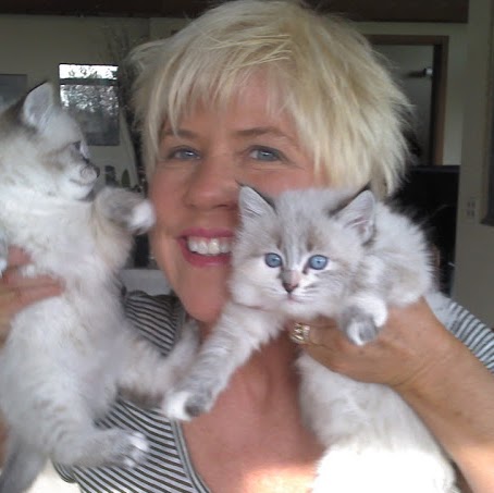 Michele Anderson Photo 32