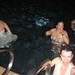 Allison Hyatt Photo 15