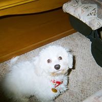 Glenda Smith Photo 30