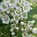 Janet Bunch Photo 27