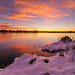 Dawn Collins Photo 8