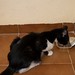 Lucy Strong Photo 15