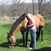 Shelby Buck Photo 18