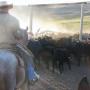 Billy Buchanan Photo 31