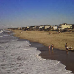 Nick Robison Photo 12