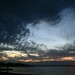 Dawn Shields Photo 15