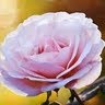 Juana Mendez Photo 10