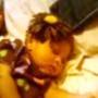 Regina Walter Photo 2