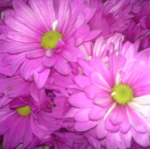Heather Dionne Photo 23