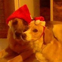 Candy Davidson Photo 9