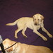 Colleen Winslow Photo 17