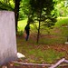 Colleen Grave Photo 5