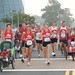 Virginia Hoyt Photo 10