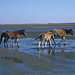 Crystal Shackleford Photo 10