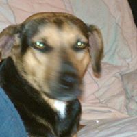 Brandy Peters Photo 7