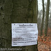 Robin Roden Photo 9