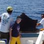 Bruce Stevenson Photo 11