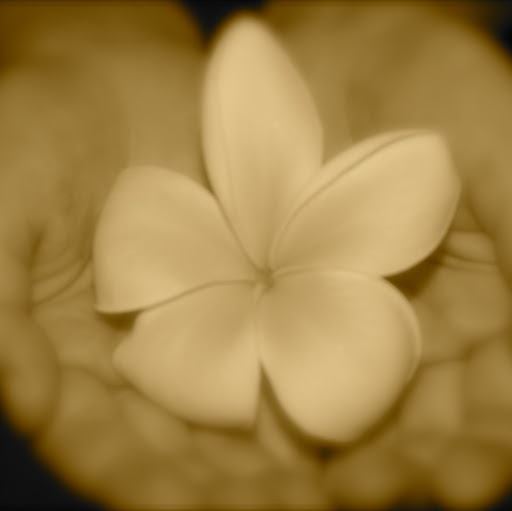 Adrianne Flowers Photo 9