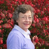 Ann Torrence Photo 10