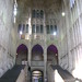 Herbert Overton Photo 8