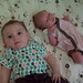 Henry Ellis Photo 10