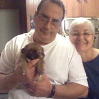 Richard Costa Photo 9