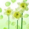 Thanh Doan Photo 10
