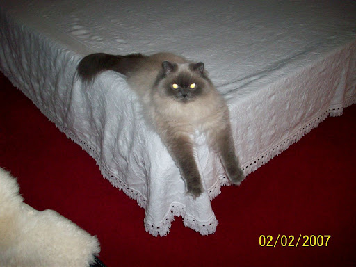 Patti Neff Photo 25