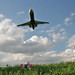 Ronald Land Photo 24